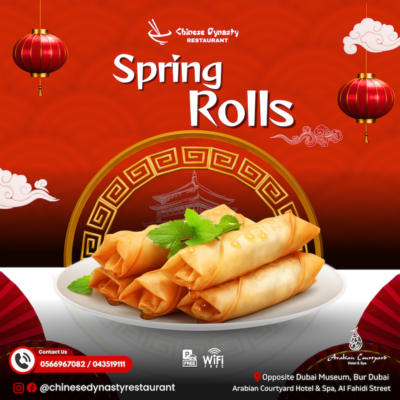spring rolls chinese dynasty